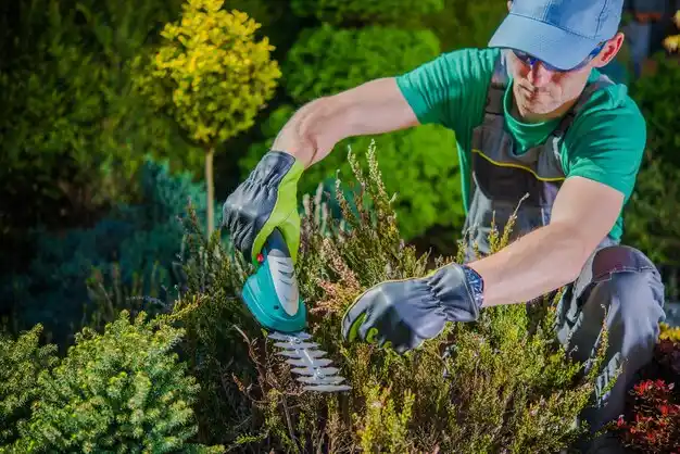 landscaping services Walls
